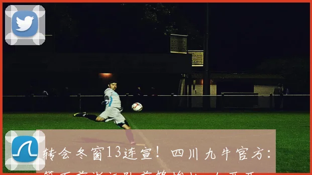 转会冬窗13连宣！四川九牛官方：签下前浙江队前锋埃杜-加西亚