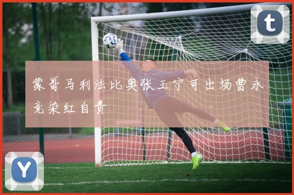 蒙哥马利法比奥张玉宁可出场曹永竞染红自责